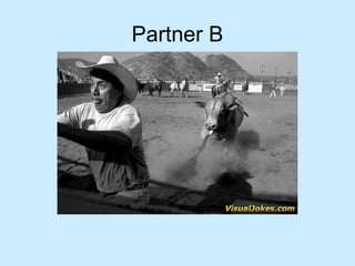 Partner B
 