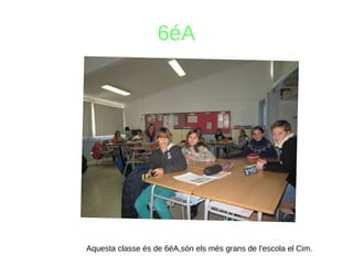 6éA
Aquesta classe és de 6éA,són els més grans de l'escola el Cim.
 