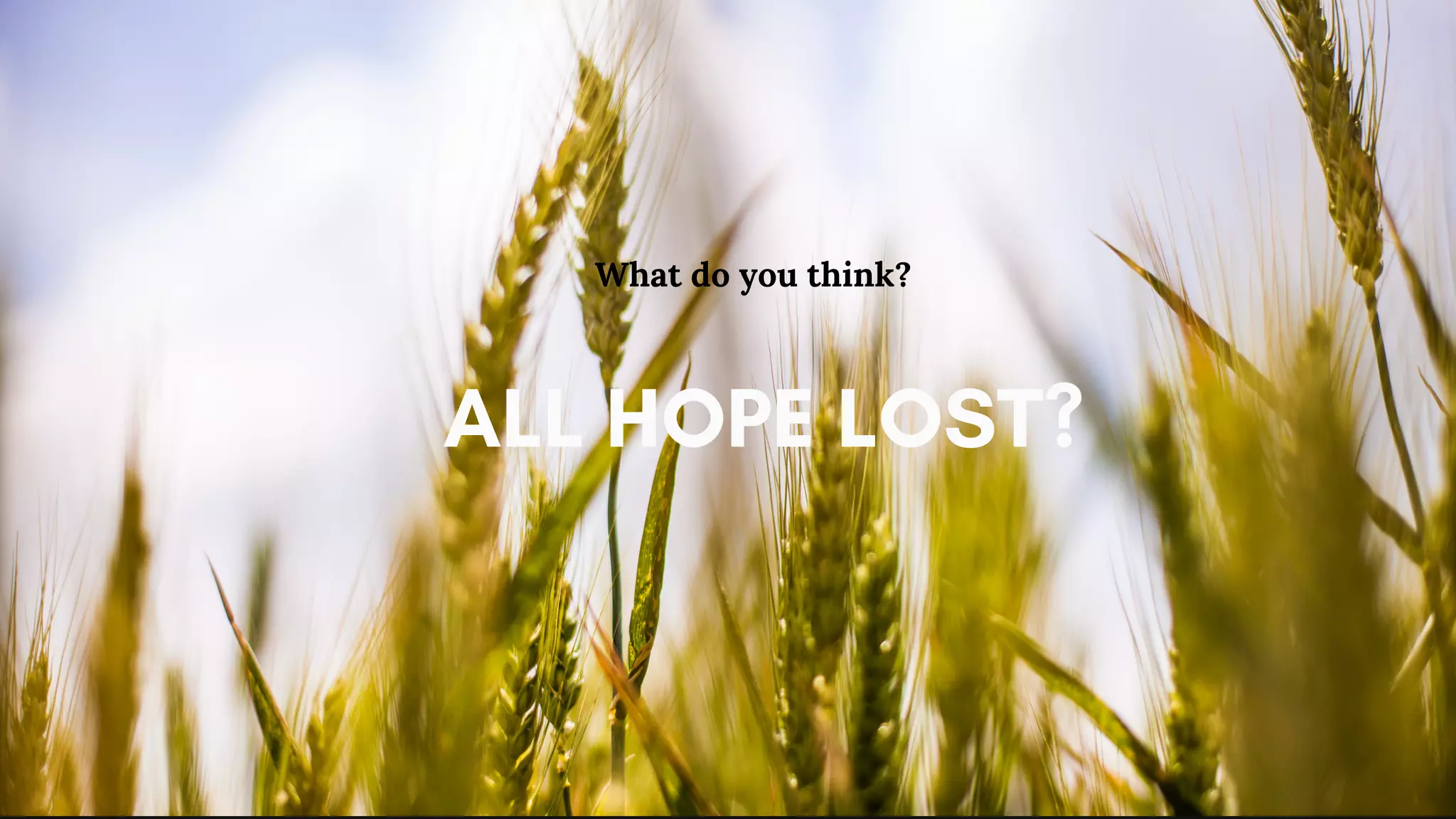 ALL HOPE LOST?
What do you think?
 