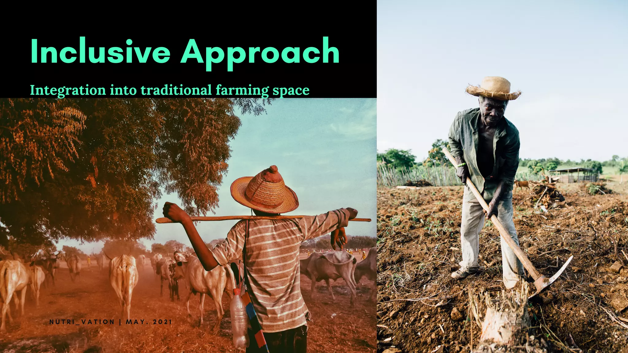 Inclusive Approach
Integration into traditional farming space
N U T R I _ V A T I O N | M A Y . 2 0 2 1
 