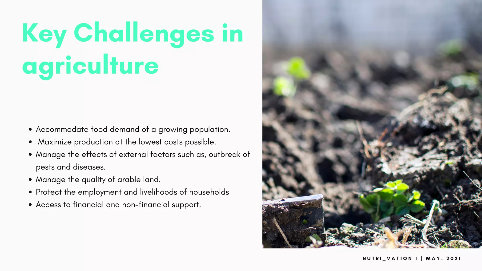 Key Challenges in
agriculture
Accommodate food demand of a growing population.
Maximize production at the lowest costs possible.
Manage the effects of external factors such as, outbreak of
pests and diseases.
Manage the quality of arable land.
Protect the employment and livelihoods of households
Access to financial and non-financial support.
N U T R I _ V A T I O N I | M A Y . 2 0 2 1
 