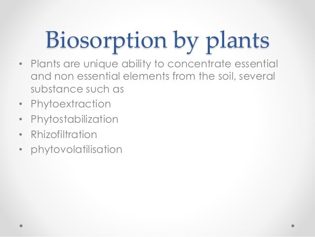 Phd thesis on biosorption of heavy metals