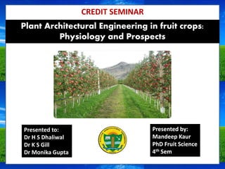 1
Presented by:
Mandeep Kaur
PhD Fruit Science
4th Sem
Plant Architectural Engineering in fruit crops:
Physiology and Prospects
Presented to:
Dr H S Dhaliwal
Dr K S Gill
Dr Monika Gupta
CREDIT SEMINAR
 
