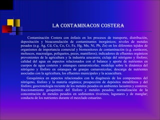 LA CONTAMINACON COSTERA Contaminación Costera con énfasis en los procesos de transporte, distribución, depositación y bioacumulación de contaminantes inorgánicos; niveles de metales pesados (e.g. Ag, Cd, Cu, Co, Cr, Fe, Hg, Mn, Ni, Pb, Zn) en los diferentes tejidos de organismos de importancia comercial y biomonitores de contaminación (e.g. custáceos, moluscos, macroalgas, poliquetos, peces, mamíferos); indicadores de efluentes orgánicos provenientes de la agricultura y la industria azucarera; ciclaje del nitrógeno y fósforo; calidad del agua en aspectos relacionados con el balance y aporte de nutrientes en cuerpos de agua costeros y estanques camaronícolas; modelaje sobre la dinámica del nitrógeno y fósforo en estanques de granjas camaronícolas; descarga de nutrientes asociadas con la agrícultura, los efluentes municipales y la acuacultura. Geoquímica en aspectos relacionados con la diagénesis de los componentes del nitrógeno, fósforo y la materia orgánica; prospección de depósitos metalíferos y del fósforo; geocronología reciente de los metales pesados en ambientes lacustres y costeros; fraccionamiento geoquímico del fósforo y metales pesados; normalización de la concentración de metales pesados en sedimentos riverinos, lagunares y de manglar; conducta de los nutrientes durante el mezclado estuarino. 