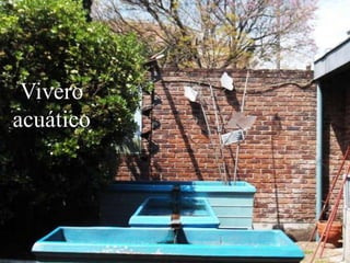 Vivero
acuático
.

 