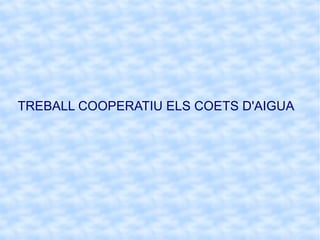 TREBALL COOPERATIU ELS COETS D'AIGUA 