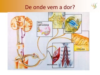 De onde vem a dor?

    disco
    intervertebral


                     facetas




                               músculos
 