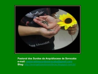 Pastoral dos Surdos da Arquidiocese de Sorocaba
e-mail: pastoraldossurdosorocaba@gmail.com
Blog: http://evangelizandocomlibras.blogspot.com.br/
 