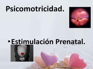 Psicomotricidad.

•Estimulación Prenatal.

 