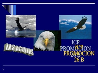LAS AGUILAS ICP  PROMOCION  26 B 