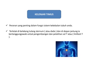 Sel Timus Sains Sukan & Kejurulatihan : Sistem Otot | PPTX