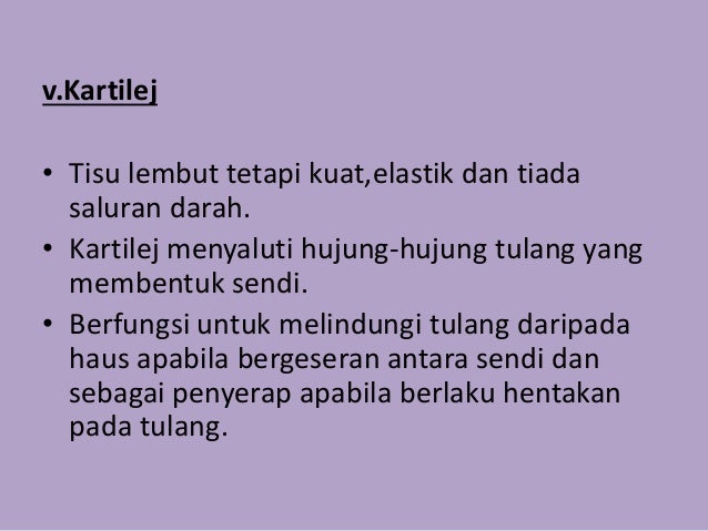 Sains Sukan Kejurulatihan Sistem Otot