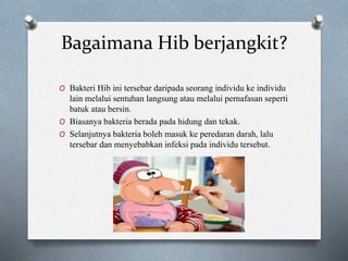 Bagaimana Hib berjangkit?
O Bakteri Hib ini tersebar daripada seorang individu ke individu
lain melalui sentuhan langsung atau melalui pernafasan seperti
batuk atau bersin.
O Biasanya bakteria berada pada hidung dan tekak.
O Selanjutnya bakteria boleh masuk ke peredaran darah, lalu
tersebar dan menyebabkan infeksi pada individu tersebut.
 