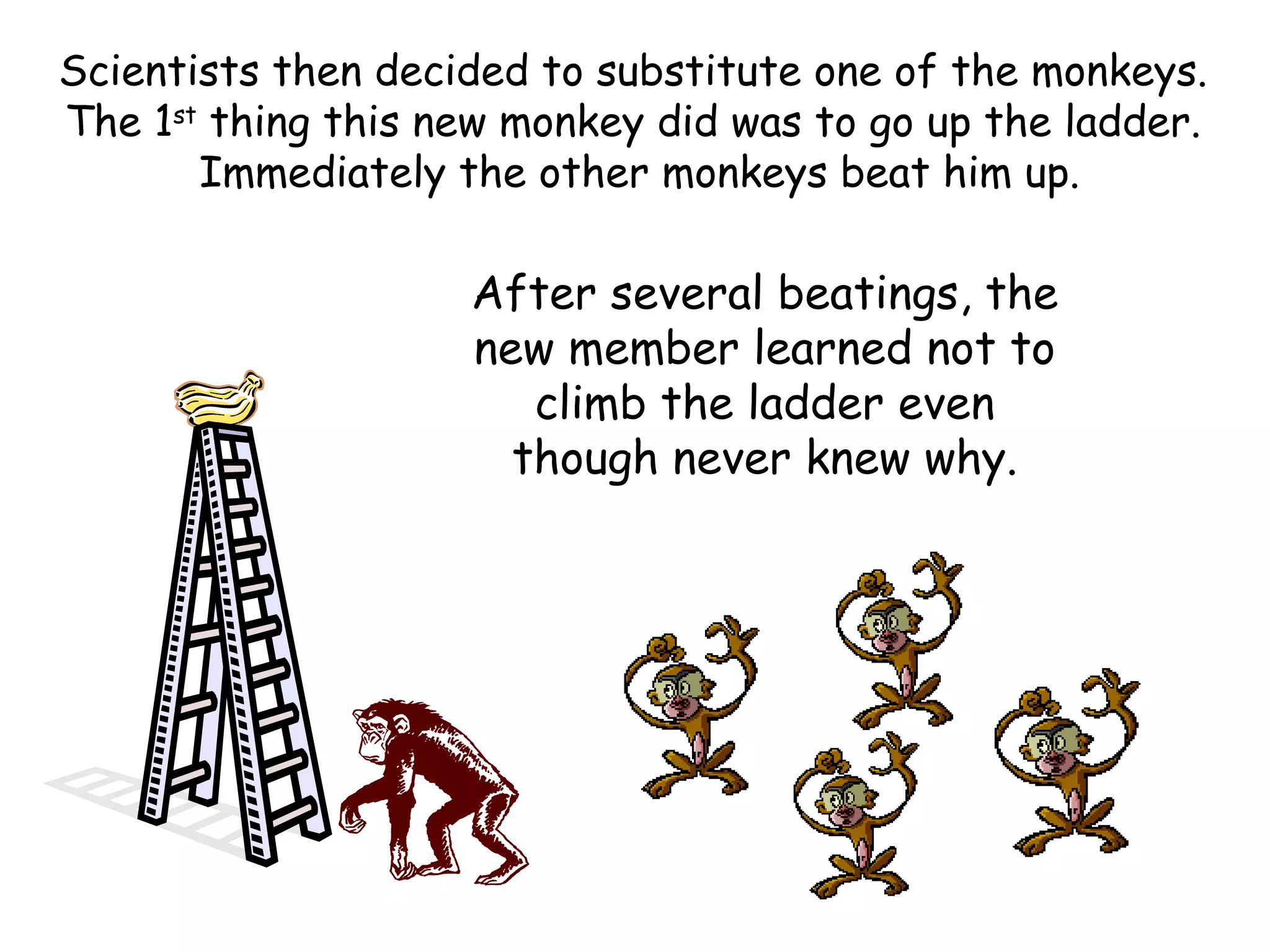 Scientists then decided to substitute one of the monkeys.
The 1st
thing this new monkey did was to go up the ladder.
Immediately the other monkeys beat him up.
After several beatings, the
new member learned not to
climb the ladder even
though never knew why.
 