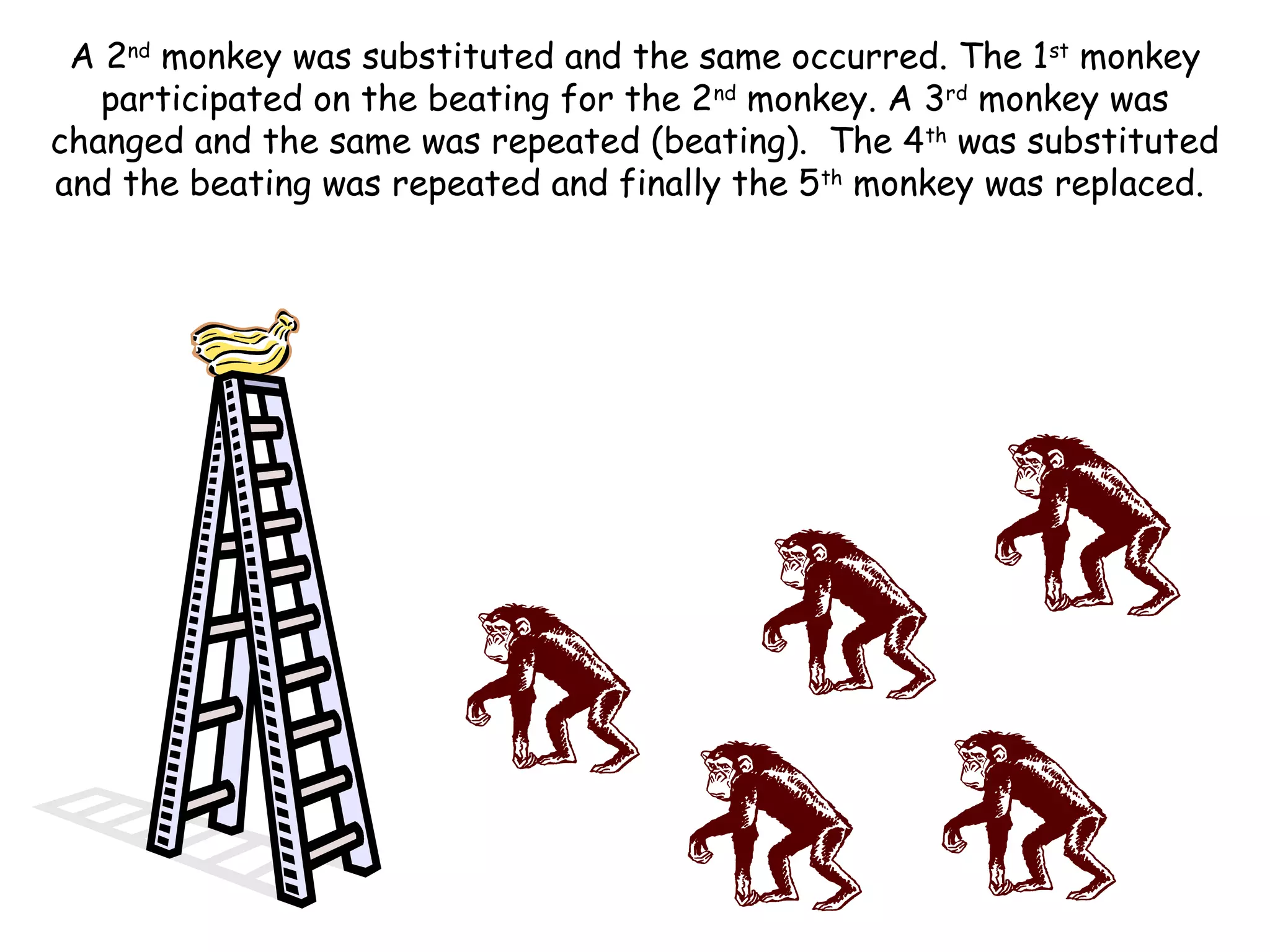 A 2nd
monkey was substituted and the same occurred. The 1st
monkey
participated on the beating for the 2nd
monkey. A 3rd
monkey was
changed and the same was repeated (beating). The 4th
was substituted
and the beating was repeated and finally the 5th
monkey was replaced.
 
