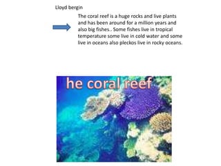 The coral reef is a huge rocks and live plants
and has been around for a million years and
also big fishes.. Some fishes live in tropical
temperature some live in cold water and some
live in oceans also pleckos live in rocky oceans.
Lloyd bergin
 