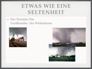 ETWAS WIE EINE
         SELTENHEIT
Der Tornado/Die
Großtrombe/ der Wirbelsturm
 
