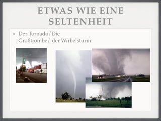 ETWAS WIE EINE
         SELTENHEIT
Der Tornado/Die
Großtrombe/ der Wirbelsturm
 