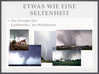 ETWAS WIE EINE
         SELTENHEIT
Der Tornado/Die
Großtrombe/ der Wirbelsturm
 