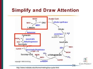 Simplify and Draw Attention




                                                       34
 http://www.indstate.edu/thcme/mwking/tca-cycle.html
 