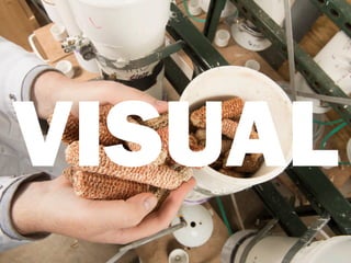 VISUAL
 