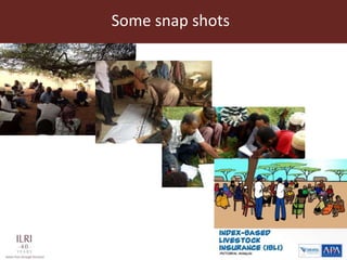 Index Based Livestock Insurance: Presenting a challenge