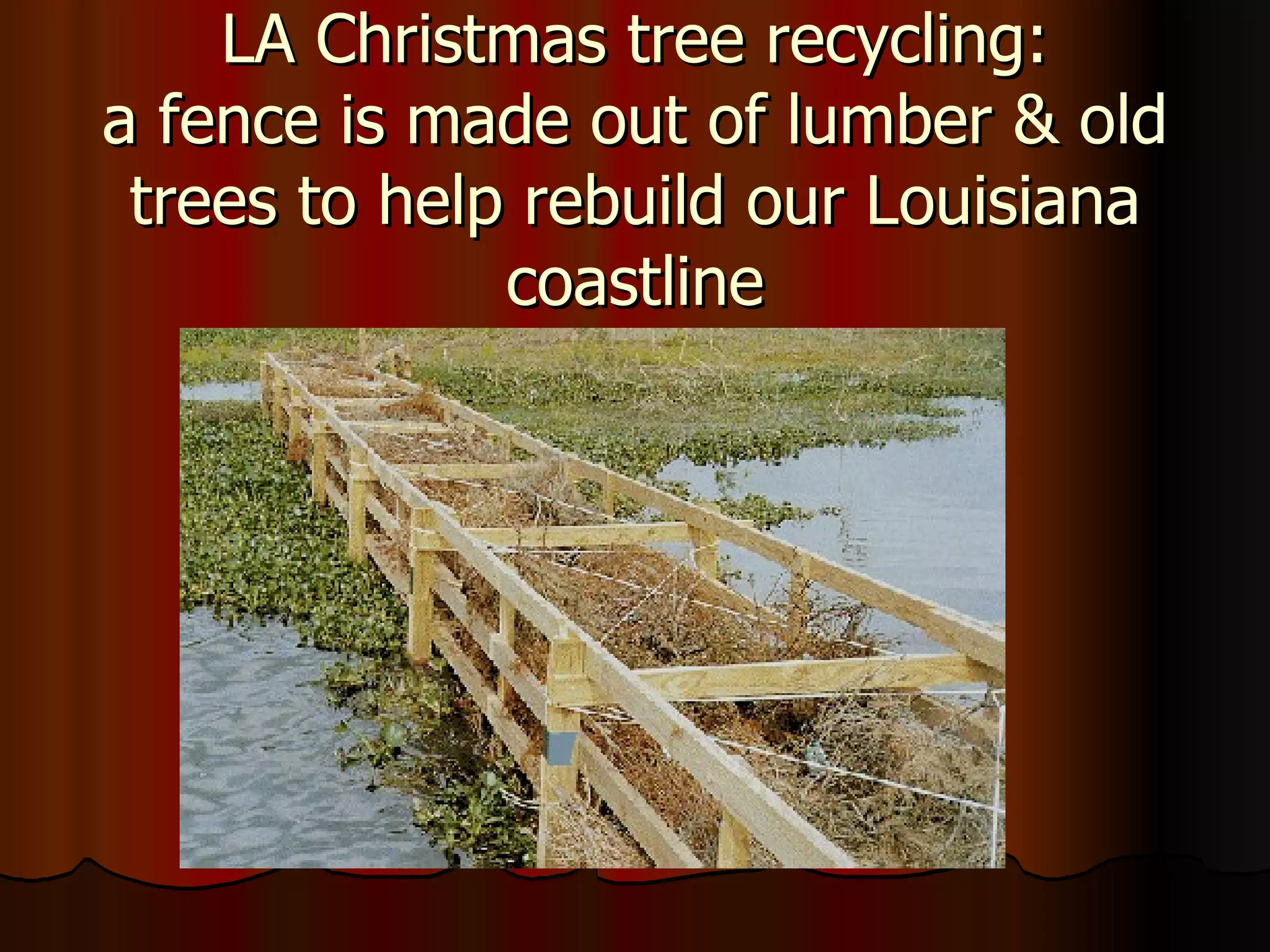 LA Christmas tree recycling: a fence is made out of lumber & old trees to help rebuild our Louisiana coastline 