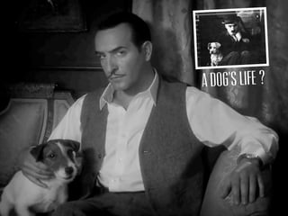 A DOG’S LIFE ?
 