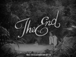 Fonts : VEVEY & LAVANDERIA FROM LOST TYPE
 