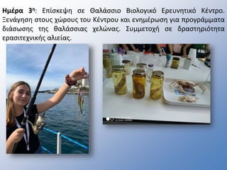 Ημέρα 3η: Επίσκεψη σε Θαλάσσιο Βιολογικό Ερευνητικό Κέντρο.
Ξενάγηση στους χώρους του Κέντρου και ενημέρωση για προγράμματα
διάσωσης της θαλάσσιας χελώνας. Συμμετοχή σε δραστηριότητα
ερασιτεχνικής αλιείας.
 