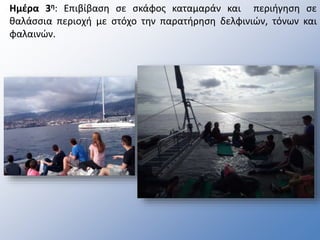 Ημέρα 3η: Επιβίβαση σε σκάφος καταμαράν και περιήγηση σε
θαλάσσια περιοχή με στόχο την παρατήρηση δελφινιών, τόνων και
φαλαινών.
 