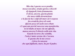 Mia vita è questo secco pendio,
mezzo non fine, strada aperta a sbocchi
di rigagnoli, lento franamento.
È dessa, ancora, questa pianta
che nasce dalla devastazione
e in faccia ha i colpi del mare ed è sospesa
fra erratiche forze di venti.
Questo pezzo di suolo non erbato
s’è spaccato perché nascesse una margherita.
in lei titubo al mare che mi offende,
manca ancora il silenzio nella mia vita.
Guardo la terra che scintilla,
l’aria è tanto serena che s’oscura.
E questa che in me cresce
è forse la rancura
che ogni figliuolo, mare, ha per il padre.
 
