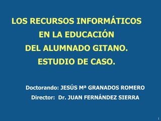 LOS RECURSOS INFORMÁTICOS EN LA EDUCACIÓN DEL ALUMNADO GITANO. ESTUDIO DE CASO. Doctorando: JESÚS Mª GRANADOS ROMERO Director:  Dr. JUAN FERNÁNDEZ SIERRA 