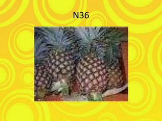 N36