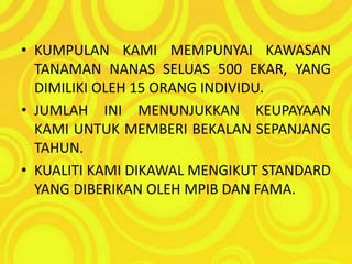 KAMI JUGA BERSEPAKAT UNTUK MEMBANTU PENANAM-PENANAM DAN PENJUAL-PENJUAL DALAM MENDAPATKAN HARGA YANG IDEAL DAN LEBIH TELUS. KAMI SEDIA MEMBERIKAN KHIDMAT BIMBINGAN SERTA NASIHAT UNTUK MEREKA YANG BERMINAT UNTUK BERUSAHA BERSAMA KAMI.KUMPULAN KAMI MEMPUNYAI KAWASAN TANAMAN NANAS SELUAS 500 EKAR, YANG DIMILIKI OLEH 15 ORANG INDIVIDU. JUMLAH INI MENUNJUKKAN KEUPAYAAN KAMI UNTUK MEMBERI BEKALAN SEPANJANG TAHUN. KUALITI KAMI DIKAWAL MENGIKUT STANDARD YANG DIBERIKAN OLEH MPIB DAN FAMA.