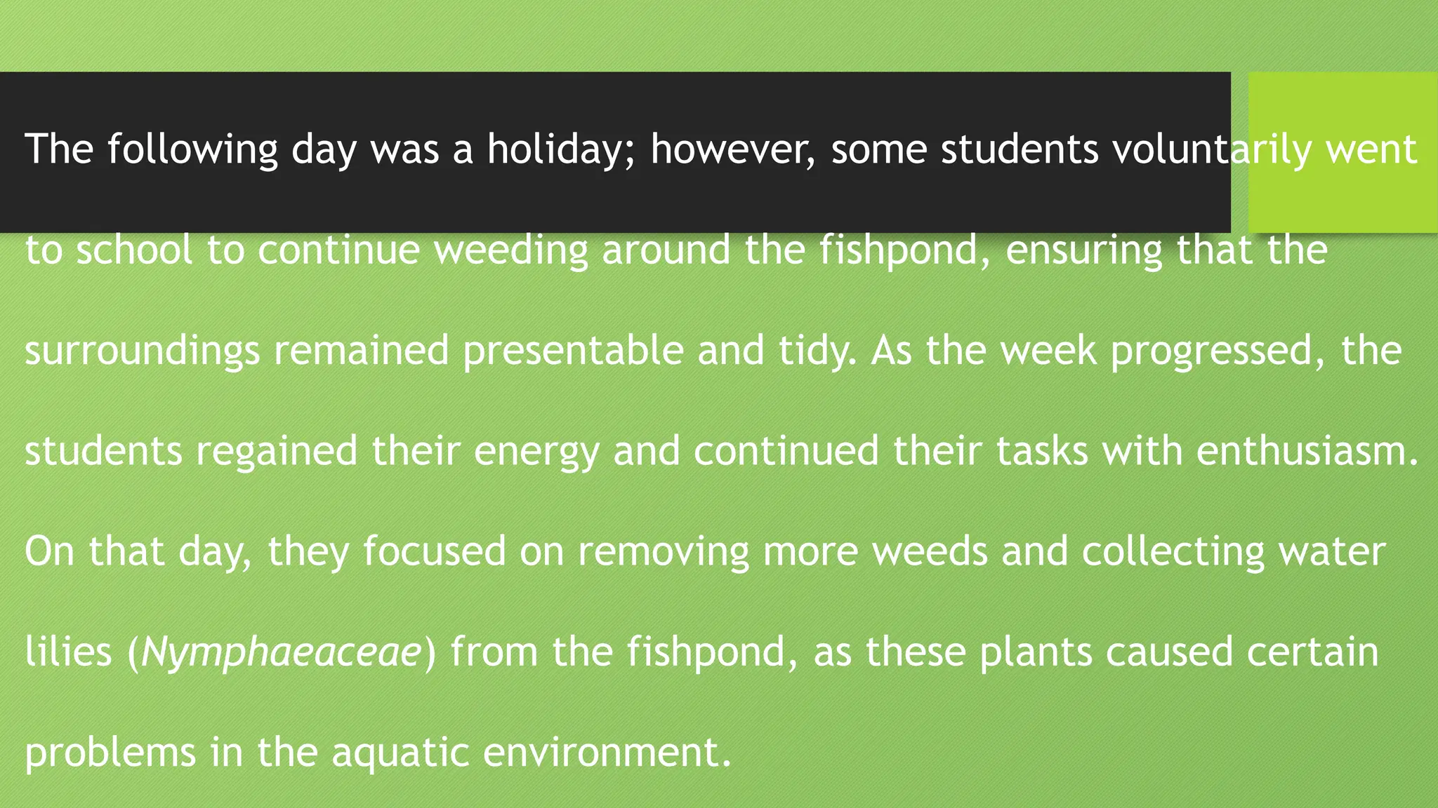 The following day was a holiday; however, some students voluntarily went
to school to continue weeding around the fishpond, ensuring that the
surroundings remained presentable and tidy. As the week progressed, the
students regained their energy and continued their tasks with enthusiasm.
On that day, they focused on removing more weeds and collecting water
lilies (Nymphaeaceae) from the fishpond, as these plants caused certain
problems in the aquatic environment.
 
