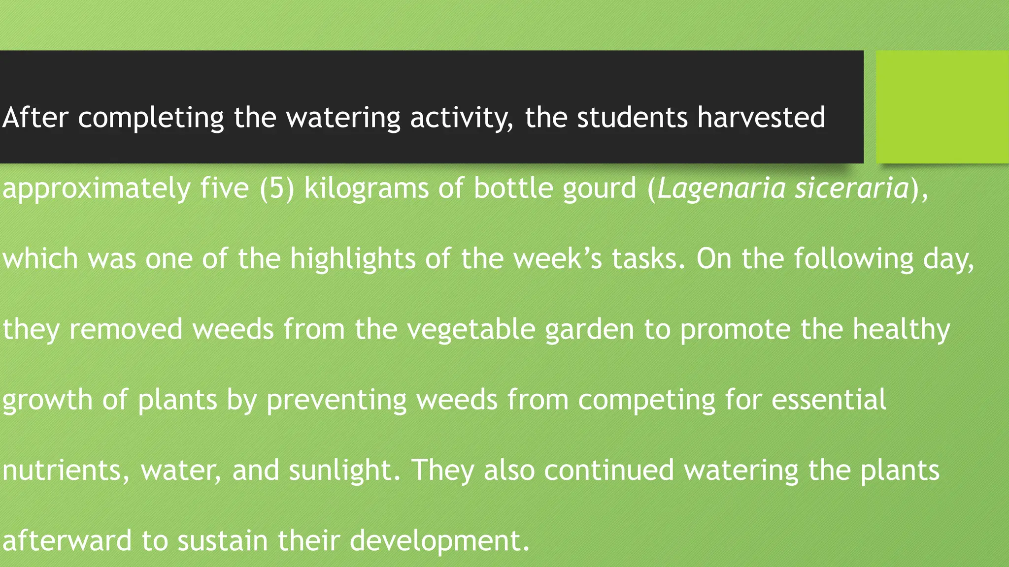 After completing the watering activity, the students harvested
approximately five (5) kilograms of bottle gourd (Lagenaria siceraria),
which was one of the highlights of the week’s tasks. On the following day,
they removed weeds from the vegetable garden to promote the healthy
growth of plants by preventing weeds from competing for essential
nutrients, water, and sunlight. They also continued watering the plants
afterward to sustain their development.
 
