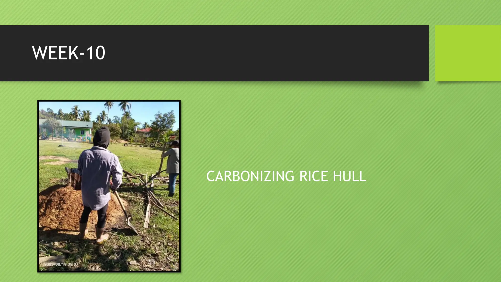 WEEK-10
CARBONIZING RICE HULL
 
