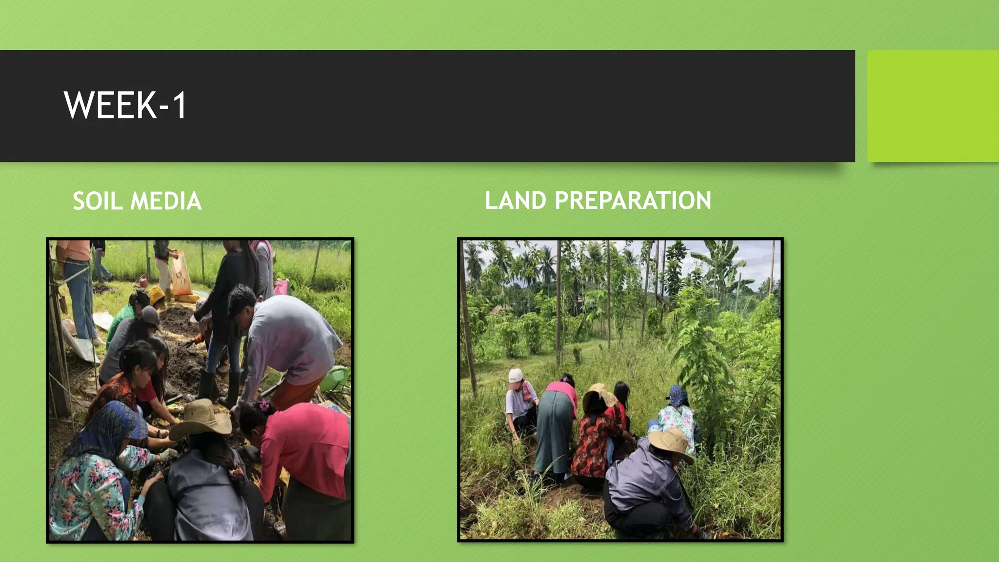 WEEK-1
SOIL MEDIA LAND PREPARATION
 