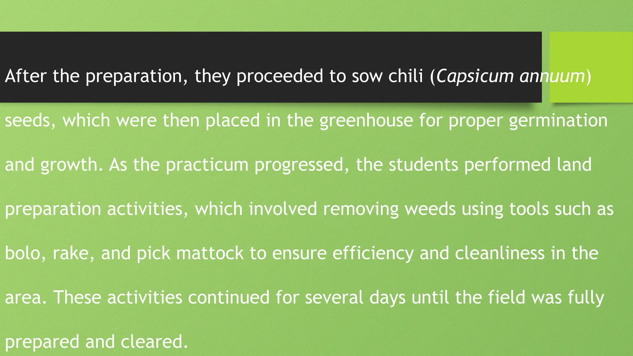 After the preparation, they proceeded to sow chili (Capsicum annuum)
seeds, which were then placed in the greenhouse for proper germination
and growth. As the practicum progressed, the students performed land
preparation activities, which involved removing weeds using tools such as
bolo, rake, and pick mattock to ensure efficiency and cleanliness in the
area. These activities continued for several days until the field was fully
prepared and cleared.
 