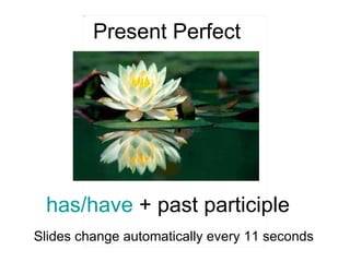 has/have  + past participle  Present Perfect   Slides change automatically every 11 seconds 