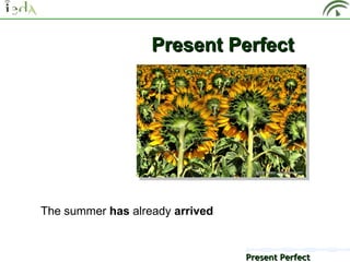 Present Perfect




The summer has already arrived


                                 Present Perfect
 