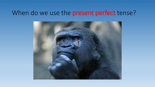 When do we use the present perfect tense? 
 