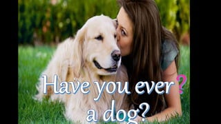 Present perfect - game Have you ever