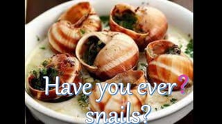 Present perfect - game Have you ever