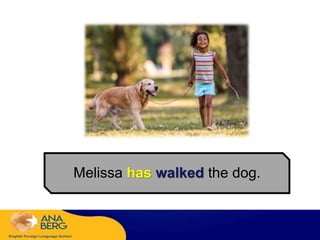 Melissa has walked the dog.
 