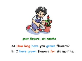 grow flowers, six months
A: How long have you grown flowers?
B: I have grown flowers for six months.
 