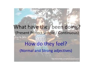 What have they been doing?
(Present Perfect Simple / Continuous)

How do they feel?
(Normal and Strong adjectives)

 