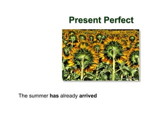 Present Perfect
The summer has already arrived
 