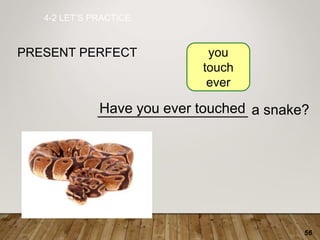 56
___________________ a snake?
4-2 LET’S PRACTICE
PRESENT PERFECT
Have you ever touched
you
touch
ever
 